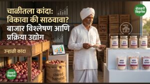 कांदा बाजारभाव विश्लेषण २०२६ - शेतकरी बिझनेस